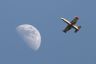 Bis zum Mond und weiter